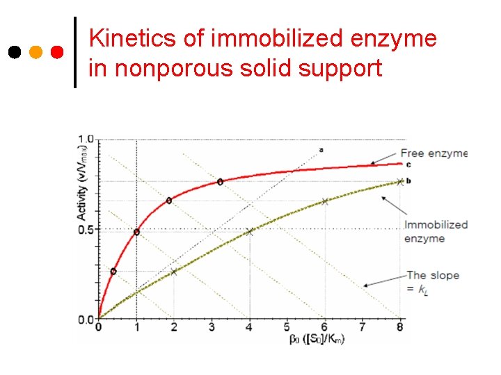 Kinetics of immobilized enzyme in nonporous solid support 