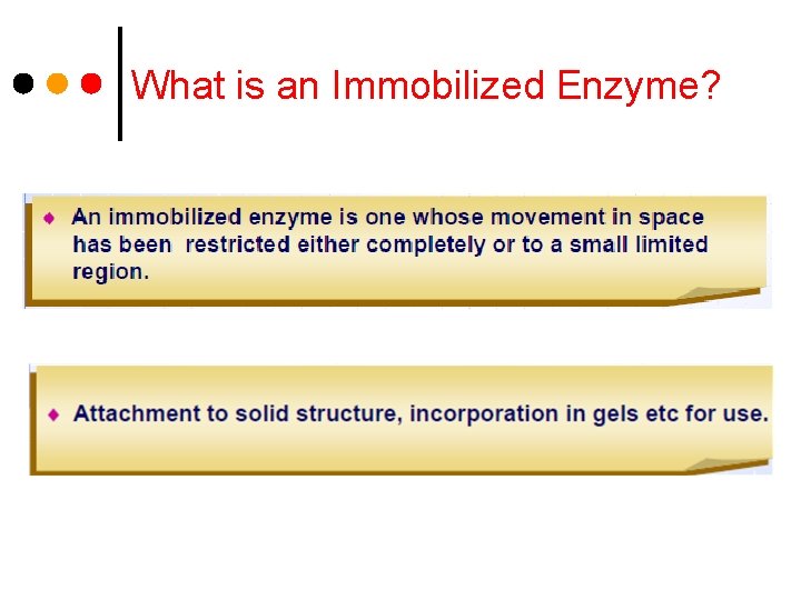 What is an Immobilized Enzyme? 
