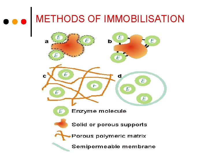 METHODS OF IMMOBILISATION 