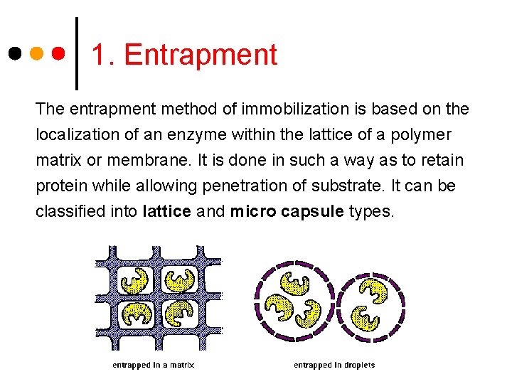 1. Entrapment The entrapment method of immobilization is based on the localization of an