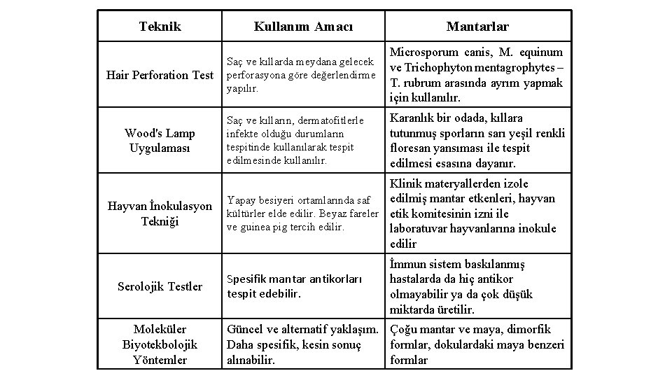 Teknik Kullanım Amacı Mantarlar Hair Perforation Test Saç ve kıllarda meydana gelecek perforasyona göre