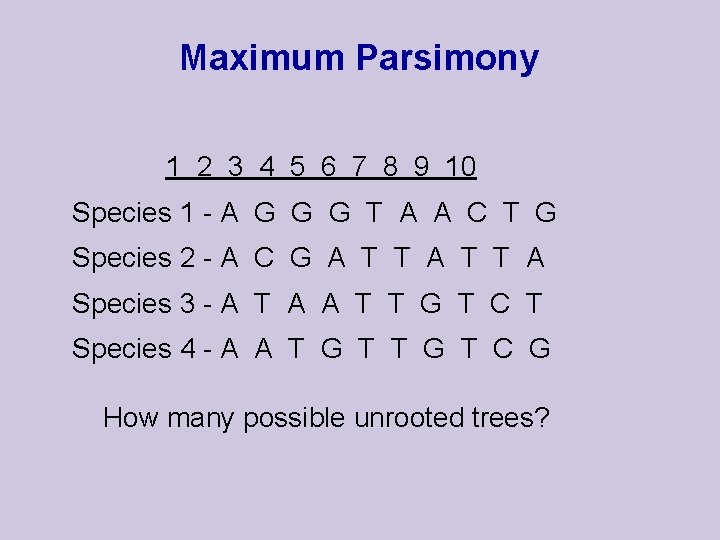 Maximum Parsimony 1 2 3 4 5 6 7 8 9 10 Species 1