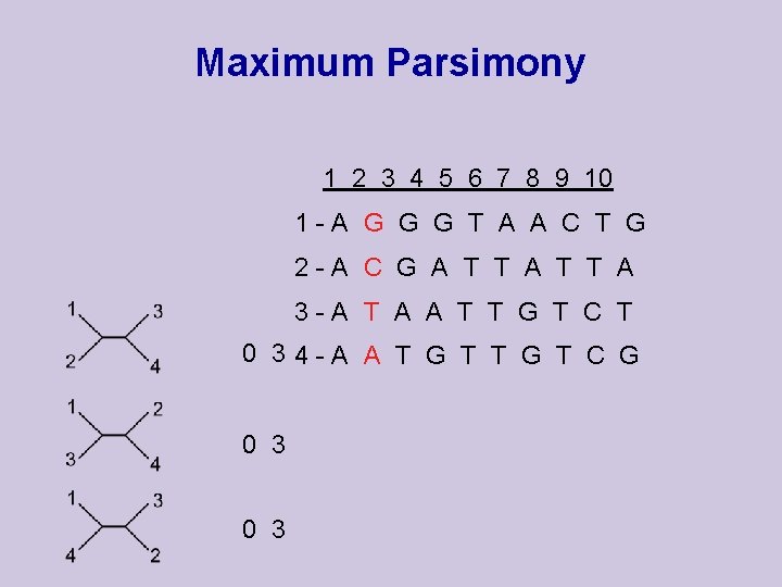 Maximum Parsimony 1 2 3 4 5 6 7 8 9 10 1 -A