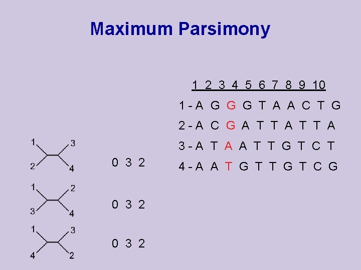 Maximum Parsimony 1 2 3 4 5 6 7 8 9 10 1 -A