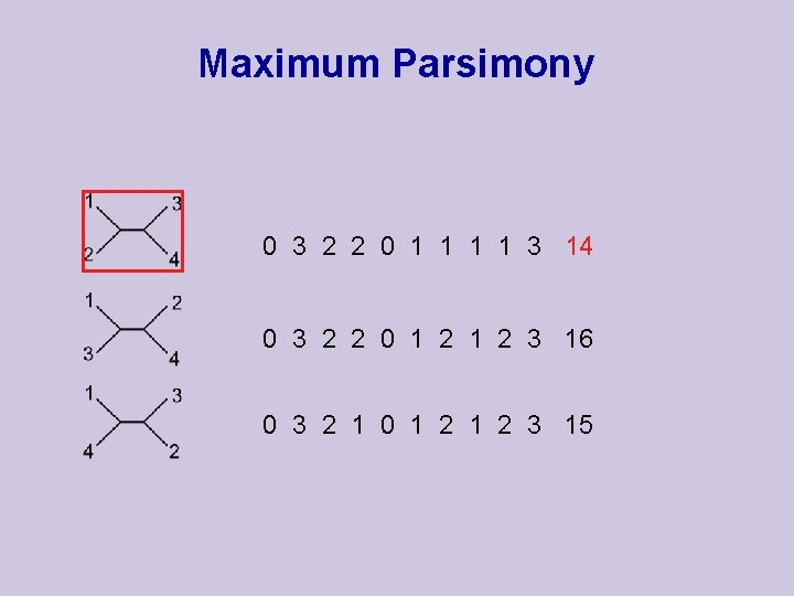 Maximum Parsimony 0 3 2 2 0 1 1 3 14 0 3 2