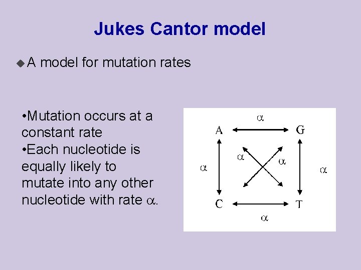 Jukes Cantor model u. A model for mutation rates • Mutation occurs at a