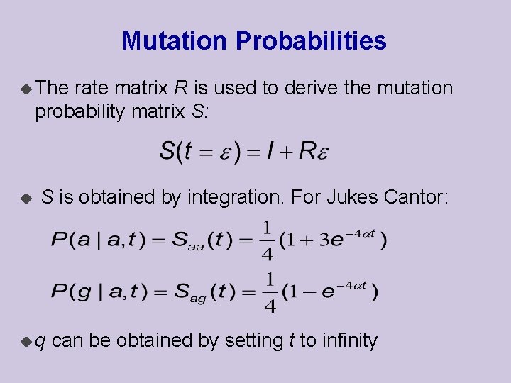 Mutation Probabilities u The rate matrix R is used to derive the mutation probability