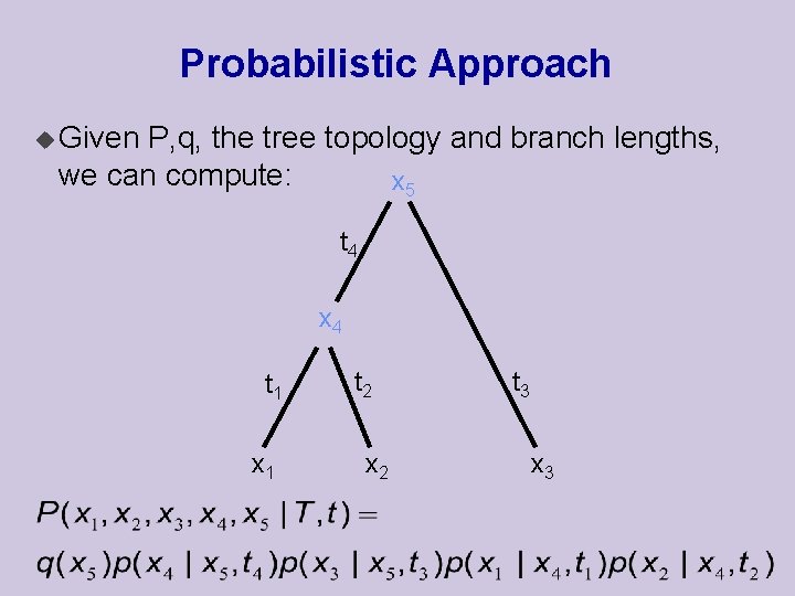 Probabilistic Approach u Given P, q, the tree topology and branch lengths, we can