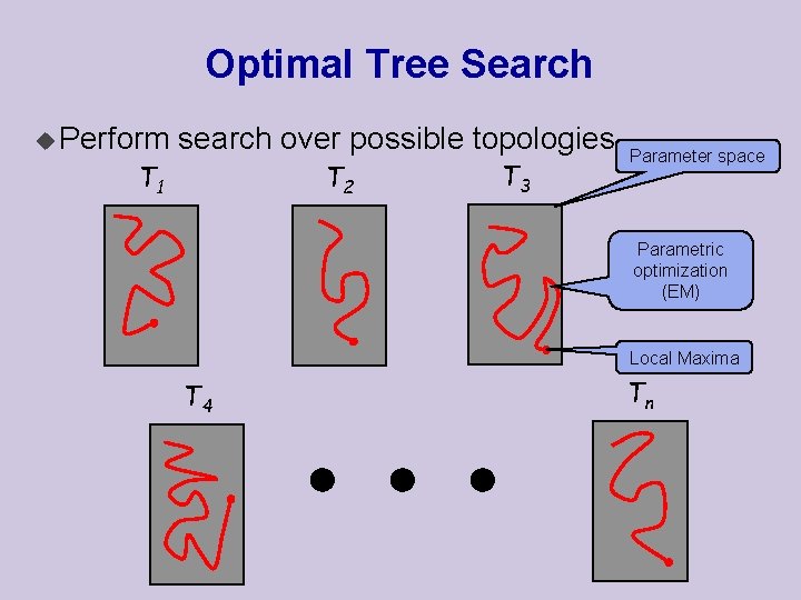 Optimal Tree Search u Perform search over possible topologies T 1 T 2 T