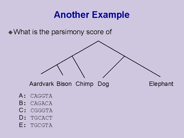 Another Example u What is the parsimony score of Aardvark Bison Chimp Dog A: