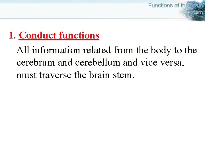 1. Conduct functions All information related from the body to the cerebrum and cerebellum