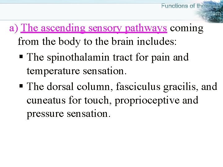 a) The ascending sensory pathways coming from the body to the brain includes: §
