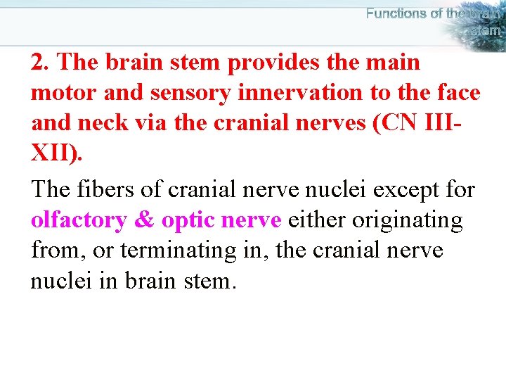 2. The brain stem provides the main motor and sensory innervation to the face
