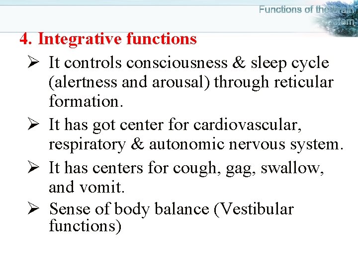 4. Integrative functions Ø It controls consciousness & sleep cycle (alertness and arousal) through