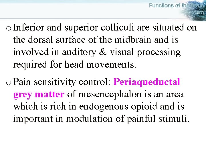 o Inferior and superior colliculi are situated on the dorsal surface of the midbrain