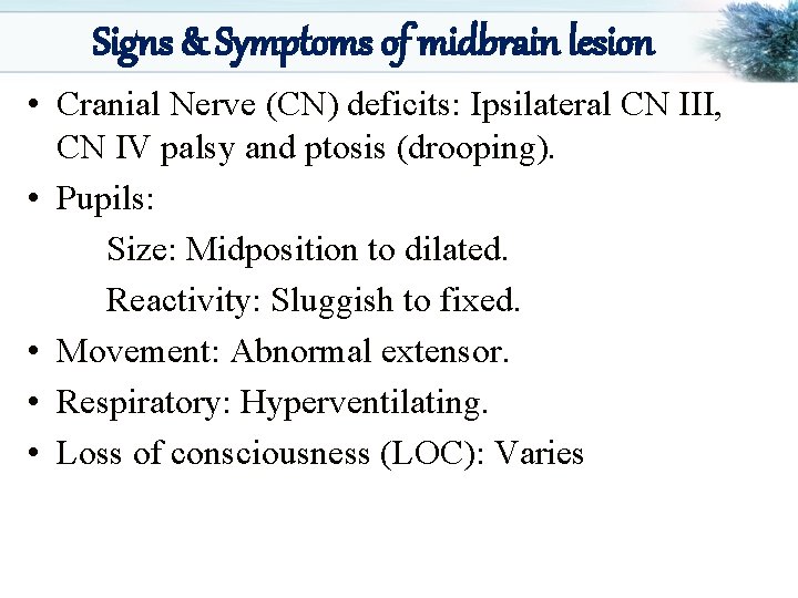 Signs & Symptoms of midbrain lesion • Cranial Nerve (CN) deficits: Ipsilateral CN III,