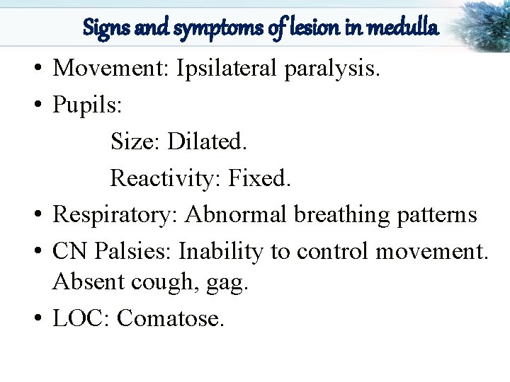 Signs and symptoms of lesion in medulla • Movement: Ipsilateral paralysis. • Pupils: Size: