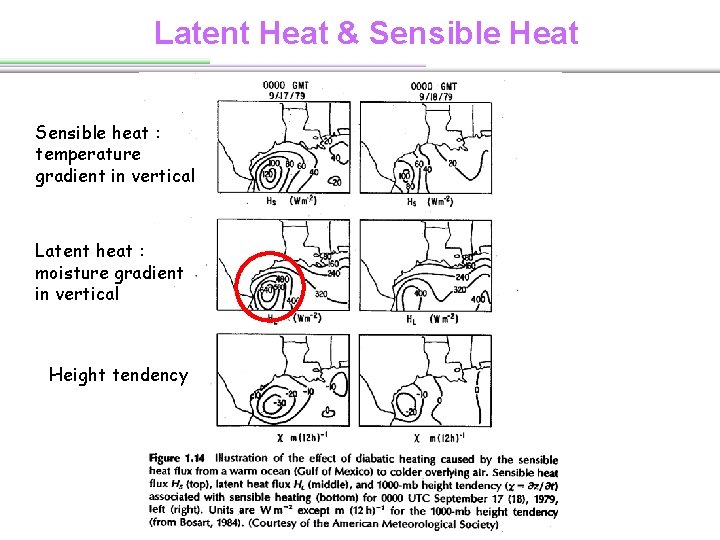 Latent Heat & Sensible Heat Sensible heat : temperature gradient in vertical Latent heat