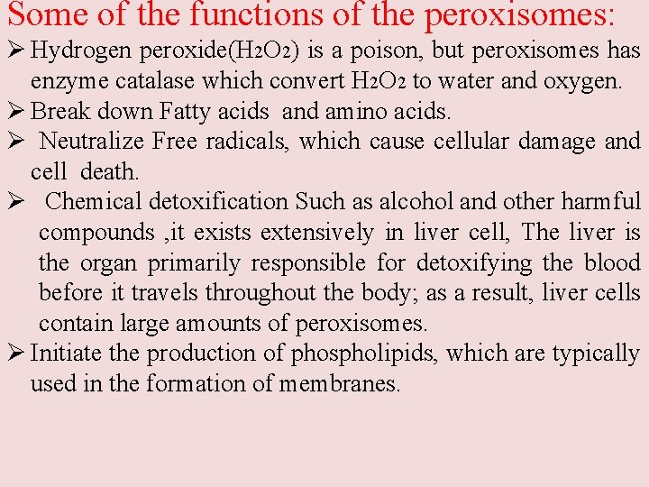Some of the functions of the peroxisomes: Ø Hydrogen peroxide(H 2 O 2) is