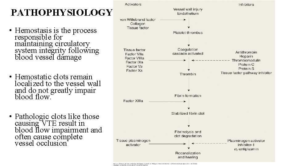 PATHOPHYSIOLOGY • Hemostasis is the process responsible for maintaining circulatory system integrity following blood