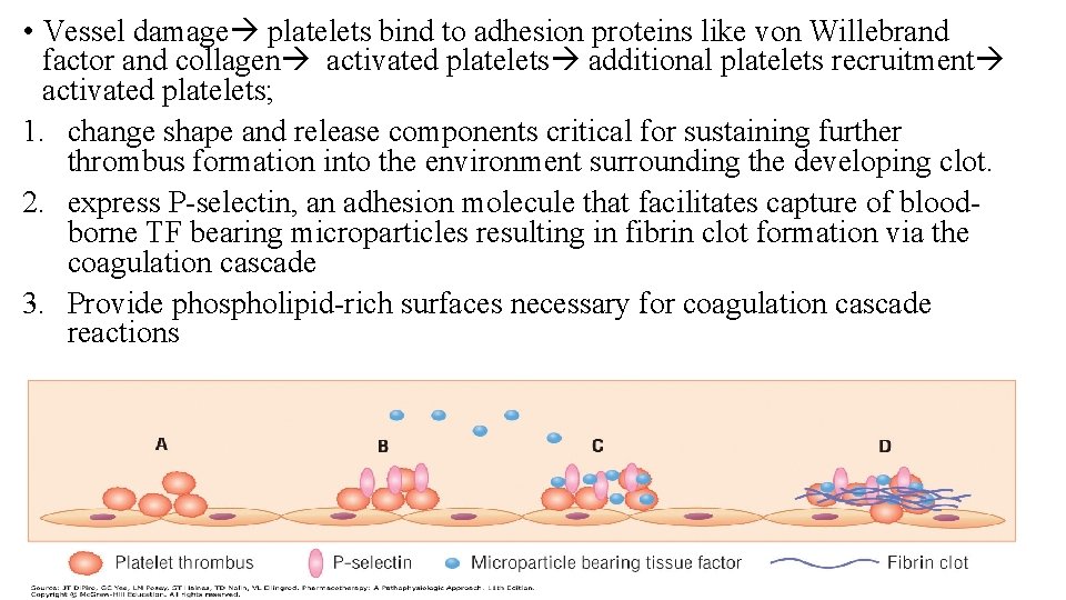  • Vessel damage platelets bind to adhesion proteins like von Willebrand factor and