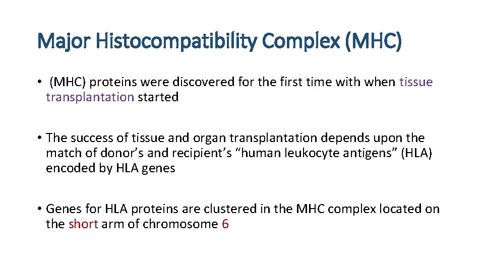 Major Histocompatibility Complex (MHC) • (MHC) proteins were discovered for the first time with