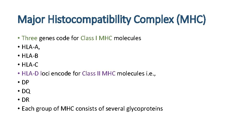 Major Histocompatibility Complex (MHC) • Three genes code for Class I MHC molecules •