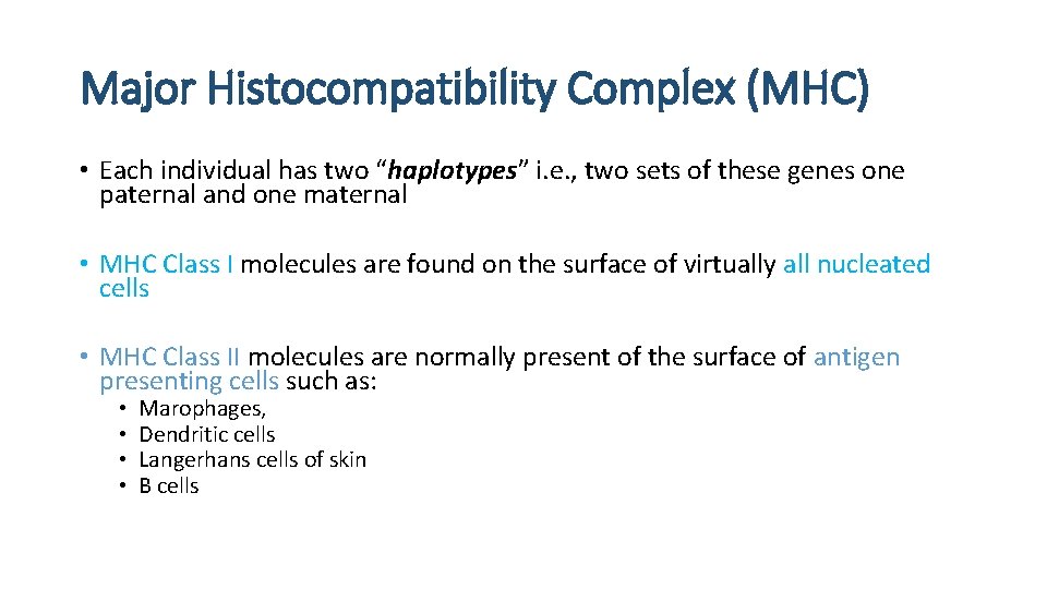 Major Histocompatibility Complex (MHC) • Each individual has two “haplotypes” i. e. , two
