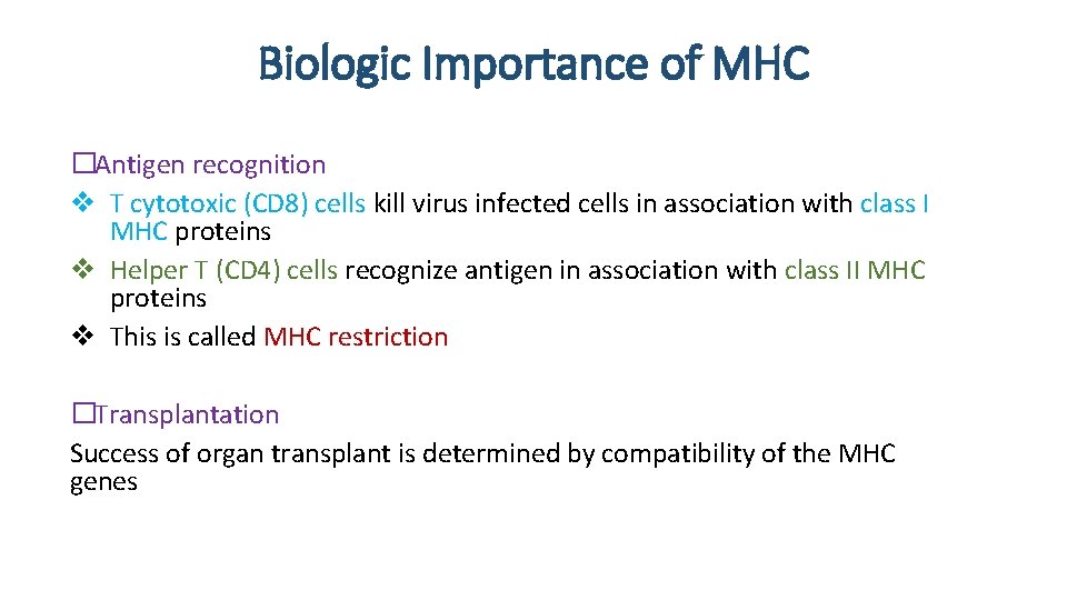 Biologic Importance of MHC �Antigen recognition v T cytotoxic (CD 8) cells kill virus