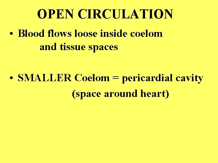 OPEN CIRCULATION • Blood flows loose inside coelom and tissue spaces • SMALLER Coelom