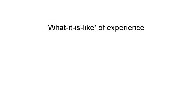 ‘What-it-is-like’ of experience 