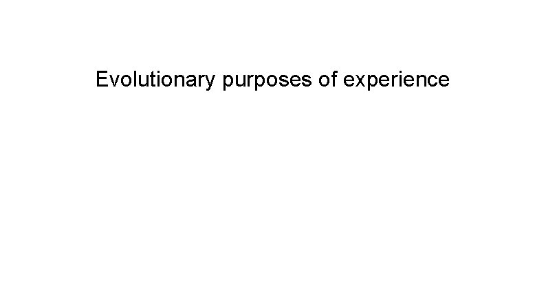 Evolutionary purposes of experience 