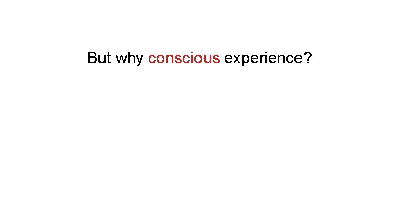 But why conscious experience? 