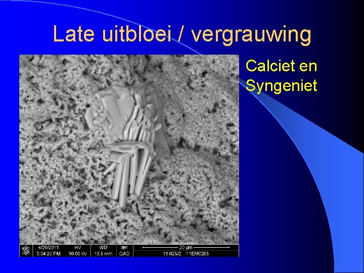 Late uitbloei / vergrauwing Calciet en Syngeniet 