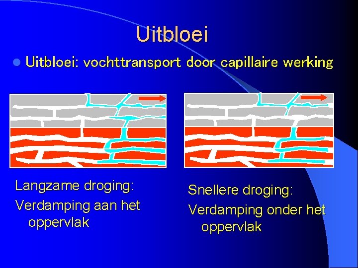 Uitbloei l Uitbloei: vochttransport door capillaire werking Langzame droging: Verdamping aan het oppervlak Snellere
