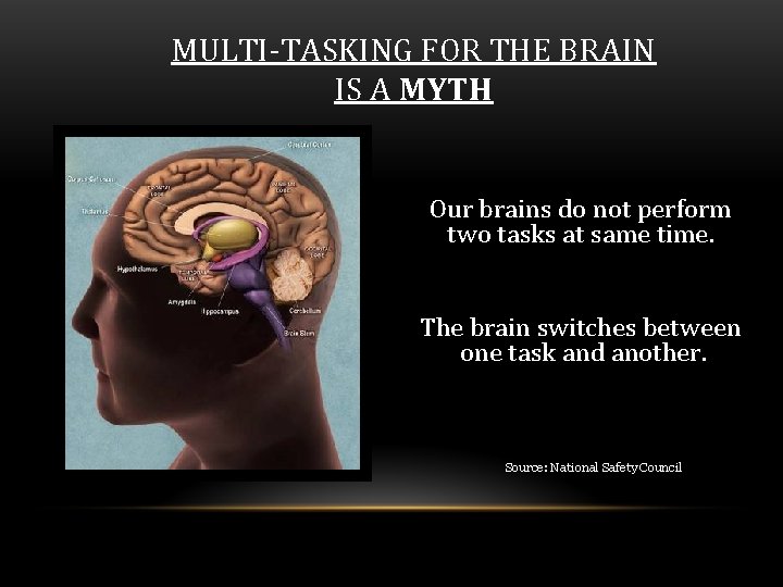 MULTI-TASKING FOR THE BRAIN IS A MYTH Our brains do not perform two tasks