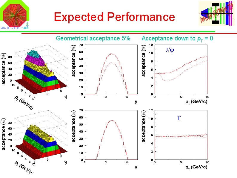 Expected Performance Geometrical acceptance 5% Acceptance down to p. T = 0 J/ 