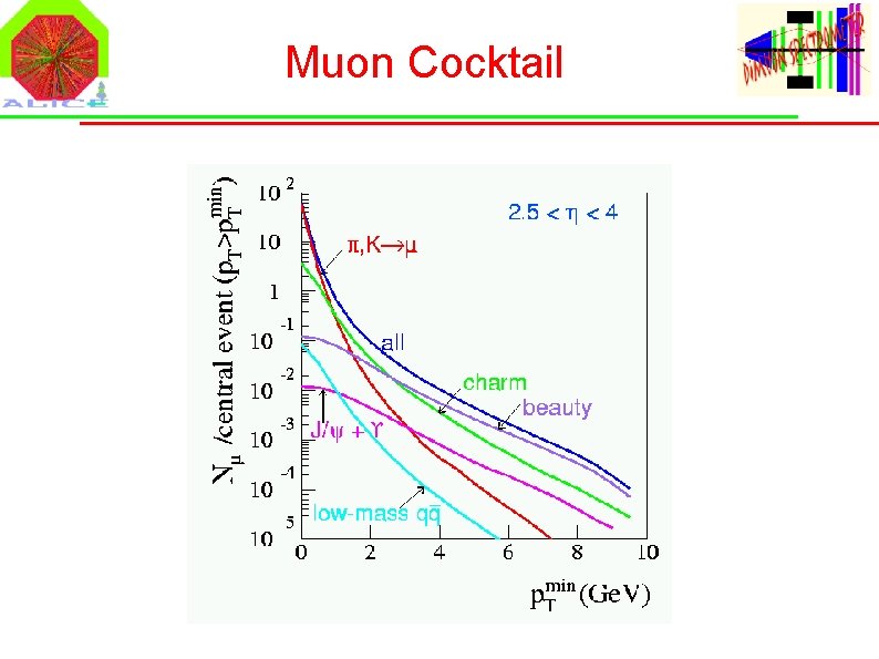 Muon Cocktail 