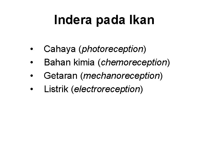 Indera pada Ikan • • Cahaya (photoreception) Bahan kimia (chemoreception) Getaran (mechanoreception) Listrik (electroreception)