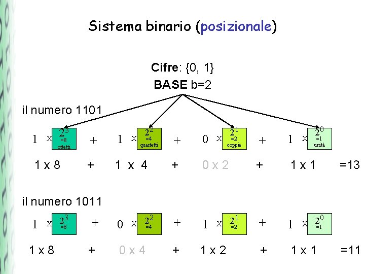 Sistema binario (posizionale) Cifre: {0, 1} BASE b=2 il numero 1101 1 X 2=83