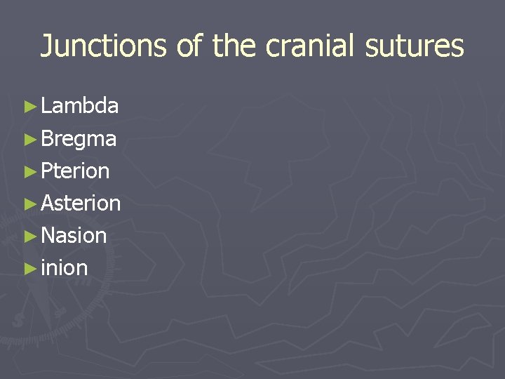 Junctions of the cranial sutures ► Lambda ► Bregma ► Pterion ► Asterion ►