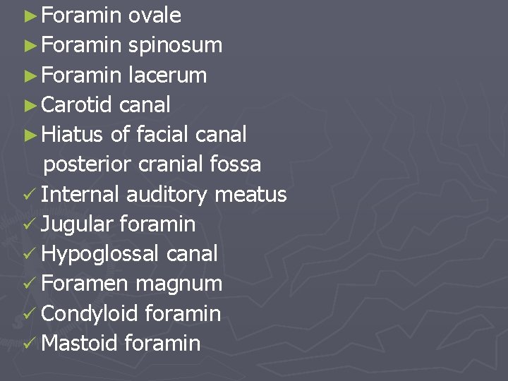 ► Foramin ovale ► Foramin spinosum ► Foramin lacerum ► Carotid canal ► Hiatus