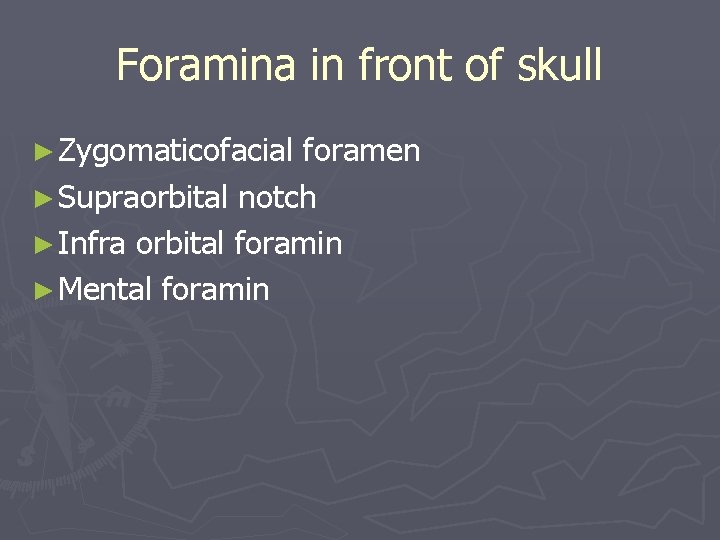 Foramina in front of skull ► Zygomaticofacial foramen ► Supraorbital notch ► Infra orbital