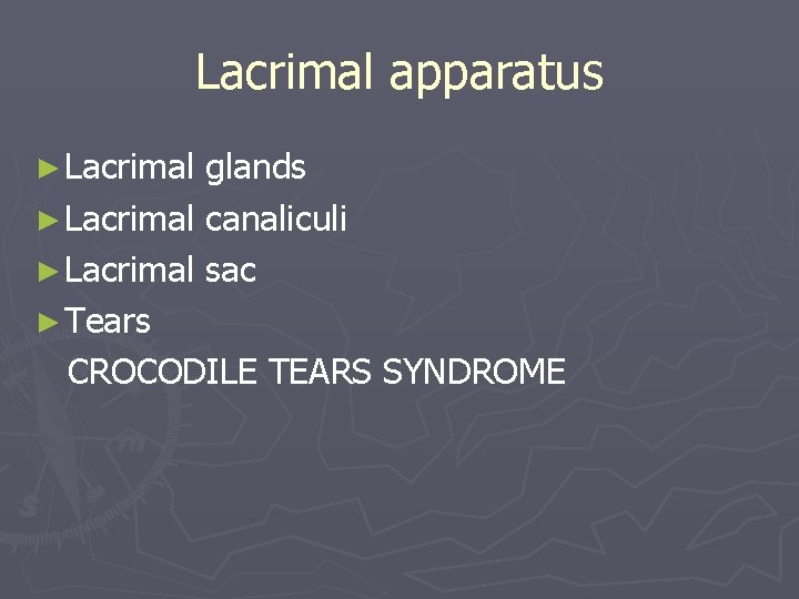 Lacrimal apparatus ► Lacrimal glands ► Lacrimal canaliculi ► Lacrimal sac ► Tears CROCODILE