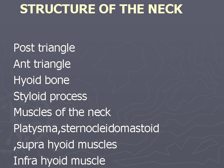 STRUCTURE OF THE NECK Post triangle Ant triangle Hyoid bone Styloid process Muscles of