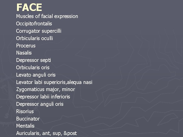 FACE Muscles of facial expression Occipitofrontalis Corrugator supercilli Orbicularis oculli Procerus Nasalis Depressor septi