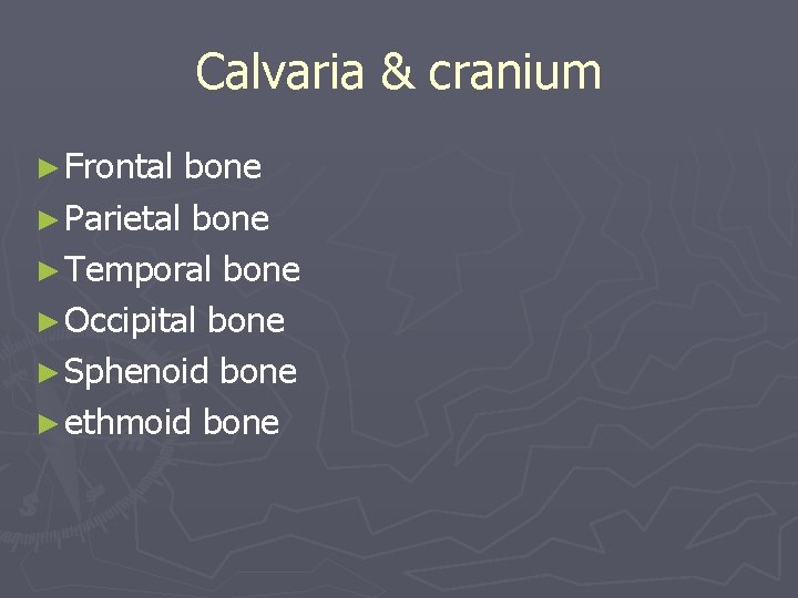 Calvaria & cranium ► Frontal bone ► Parietal bone ► Temporal bone ► Occipital
