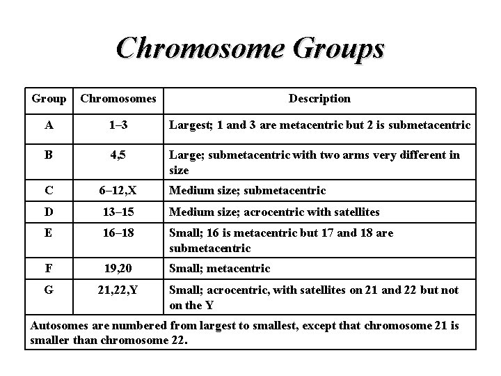 Chromosome Groups Group Chromosomes Description A 1– 3 Largest; 1 and 3 are metacentric