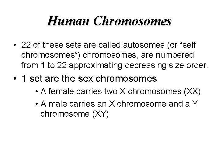 Human Chromosomes • 22 of these sets are called autosomes (or “self chromosomes”) chromosomes,