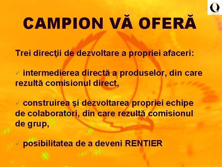 CAMPION VĂ OFERĂ Trei direcţii de dezvoltare a propriei afaceri: intermedierea directă a produselor,